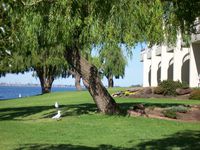 Garden - Yarrawonga Lakeside Apartments