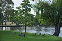 Lake and Garden - Yarrawonga Lakeside Apartments